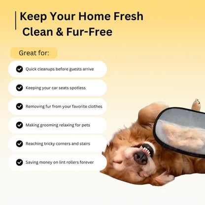 🔥Last Day Sale - Pet Hair Removal Tool Reusable Static Removal Gloves